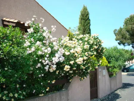 Maison de charme à Agde avec jardin et terrasse - Photo 12