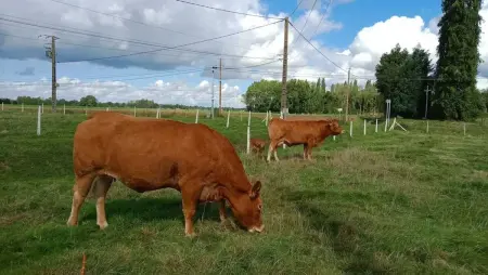 Maison conviviale à Épreville-en-Lieuvin avec jardin - Photo 20