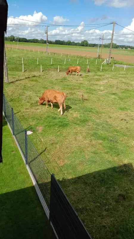 Maison conviviale à Épreville-en-Lieuvin avec jardin - Photo 21