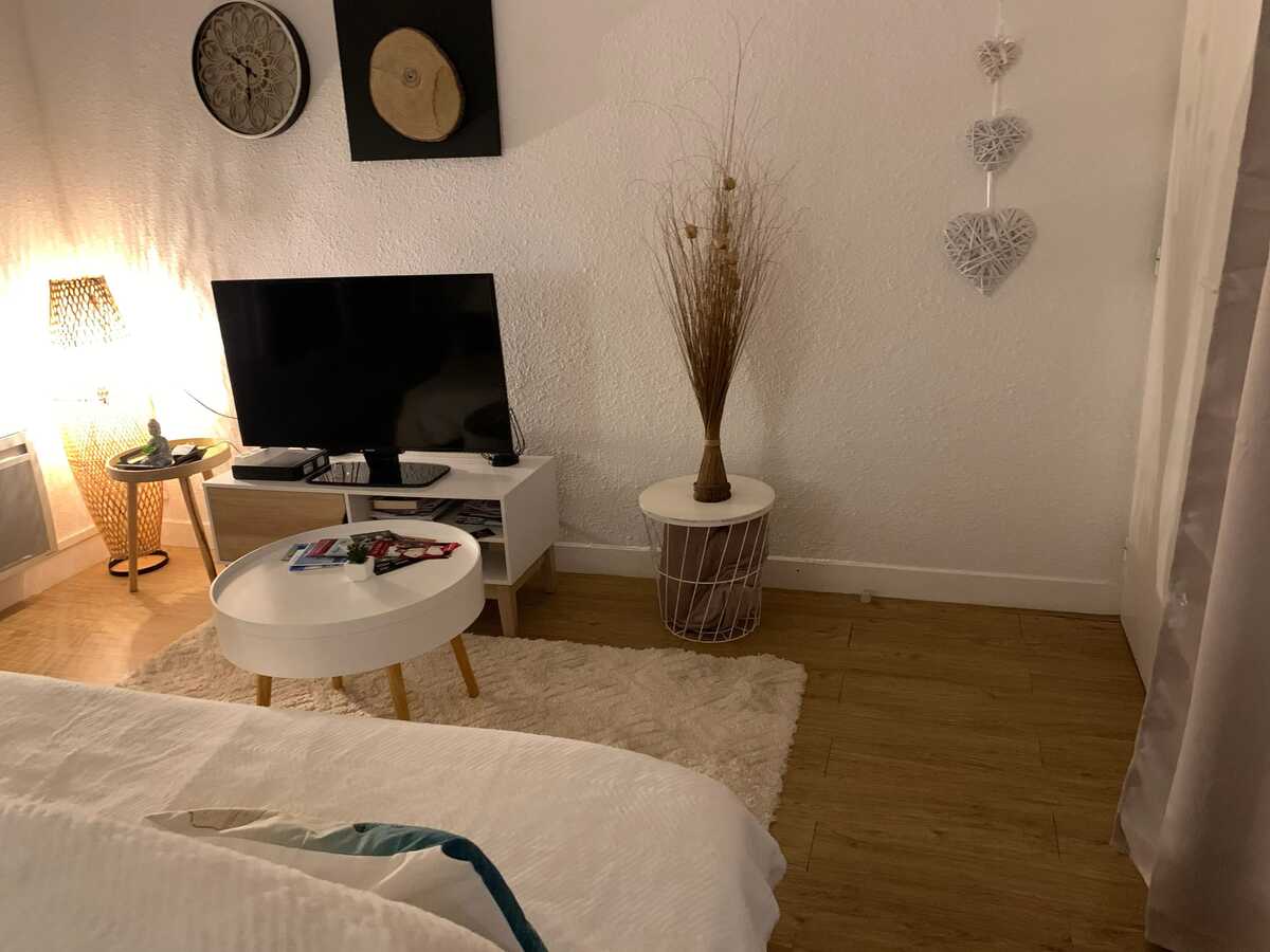 Appartement 2 chambres avec balcon et parking à Bagnères-de-Bigorre - Photo 3