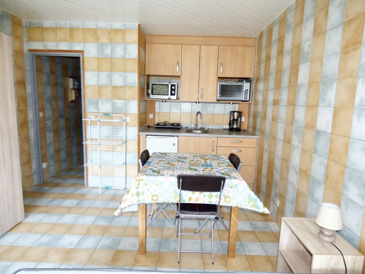 Studio 25 m² avec terrasse à Brioude - Photo 1