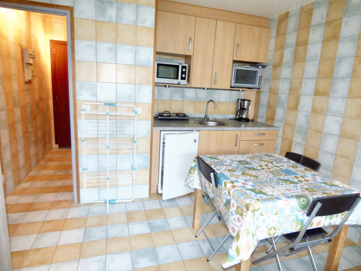 Studio 25 m² avec terrasse à Brioude - Photo 4