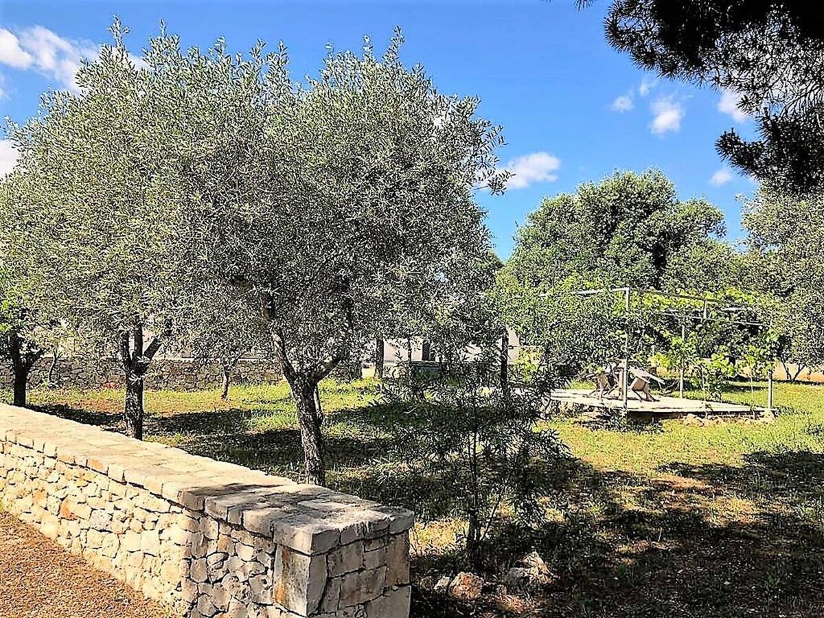 Appartement 40 m² avec jardin et terrasse à Carovigno - Photo 18