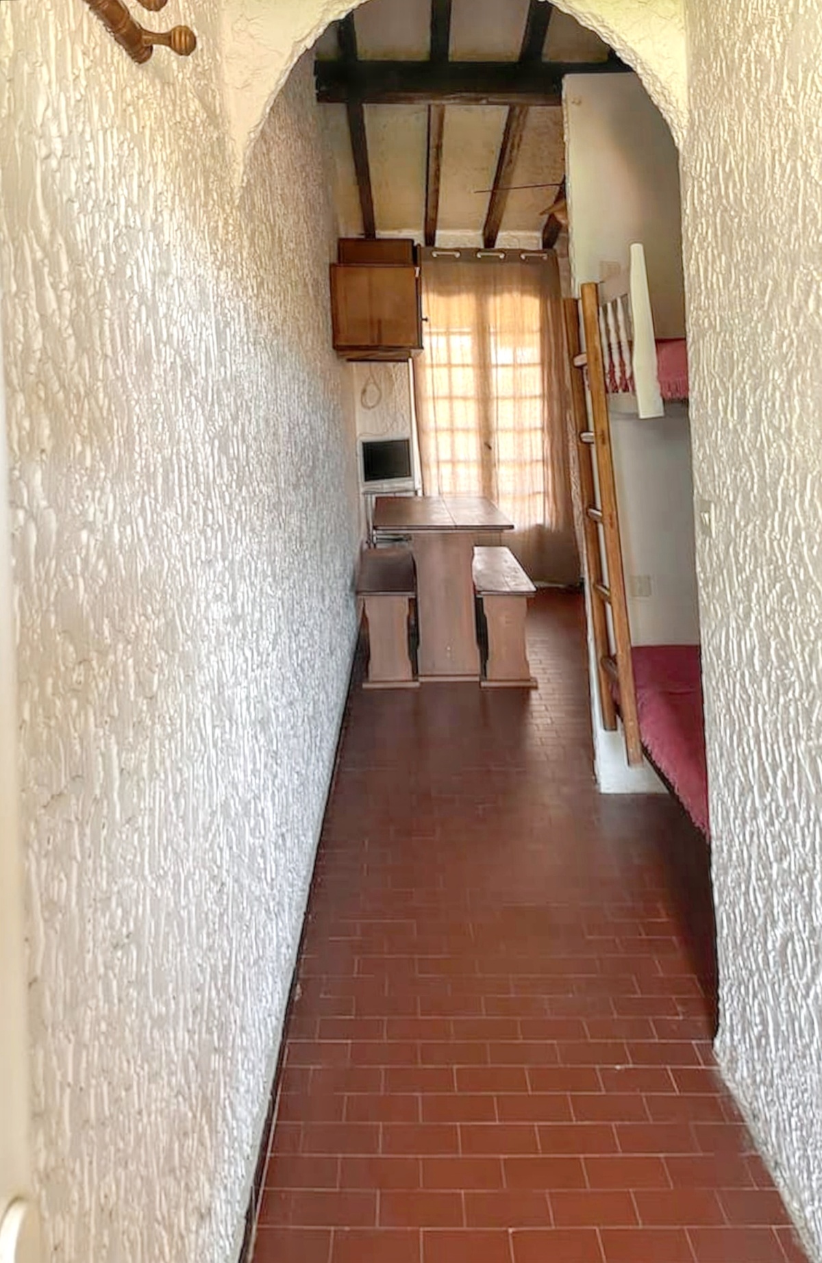 Studio 23 m² avec terrasse privée et barbecue à Linguizzetta - Photo 9