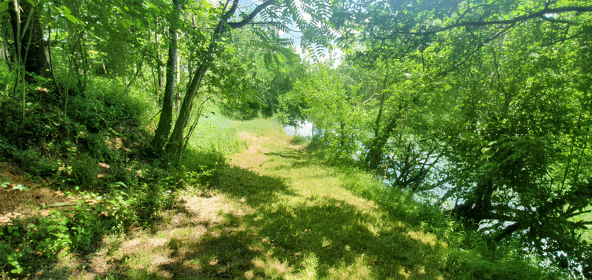 Villa 14 pers. vue lac et piscine privée - Montricoux - Photo 110