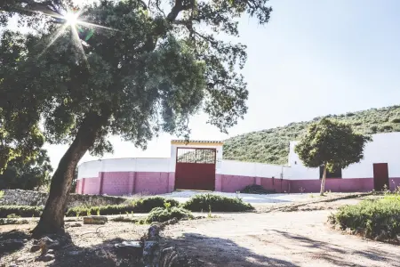 Maison charmante à Estepa avec vue sur la montagne - Photo 17