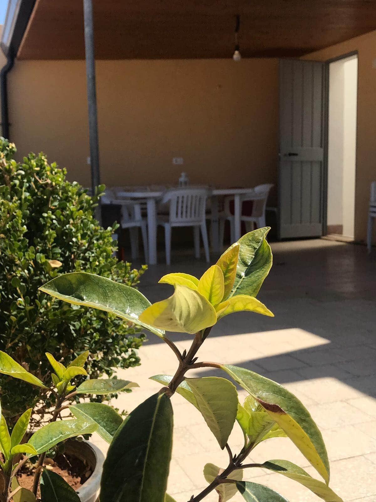 Appartement 35 m² avec terrasse vue sur Mazara del Vallo - Photo 18