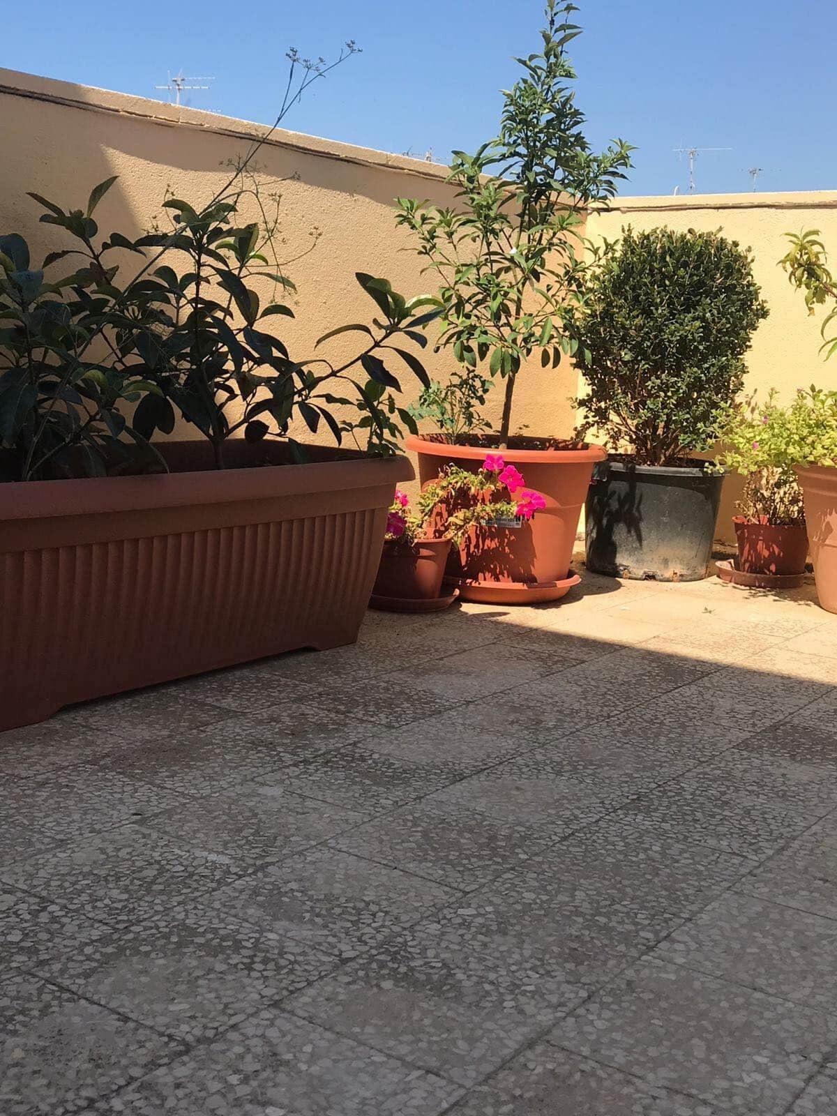 Appartement 35 m² avec terrasse vue sur Mazara del Vallo - Photo 21