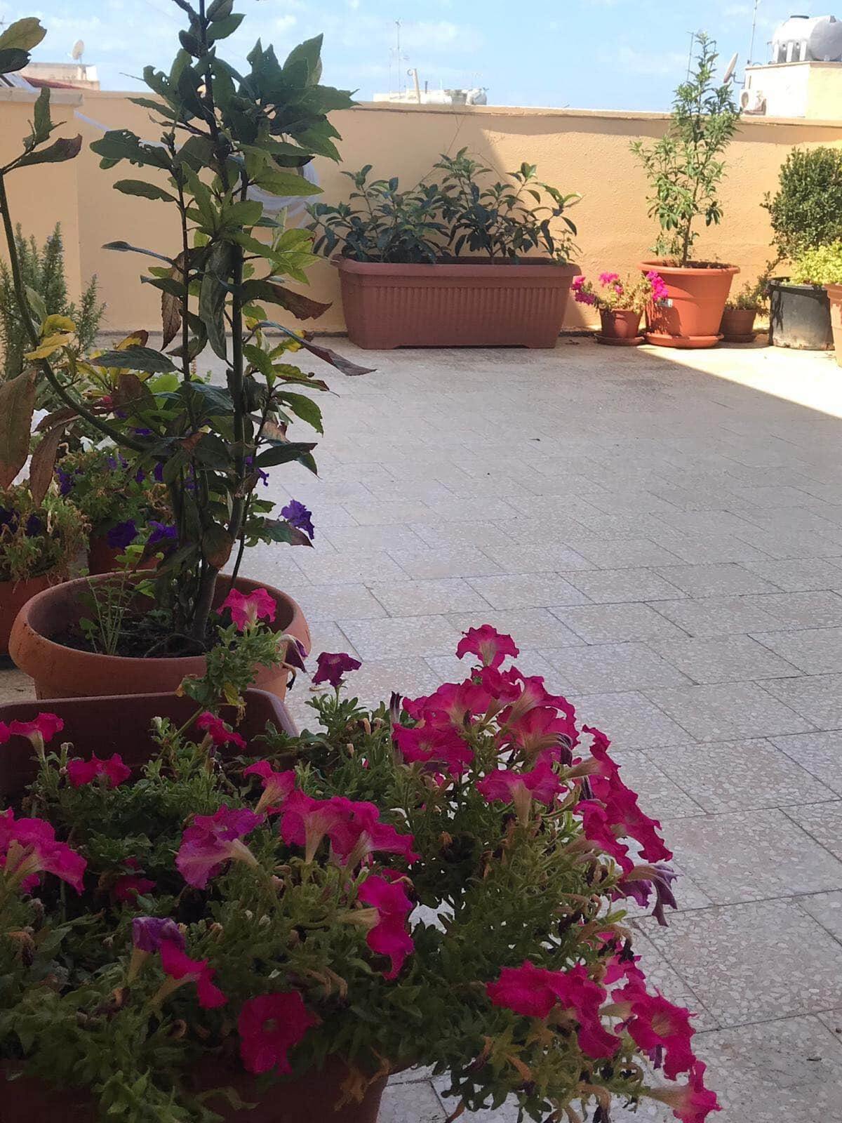 Appartement 35 m² avec terrasse vue sur Mazara del Vallo - Photo 24