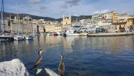 Appartement Vue Mer à Bastia, terrasse et piscine privée. - Photo 58