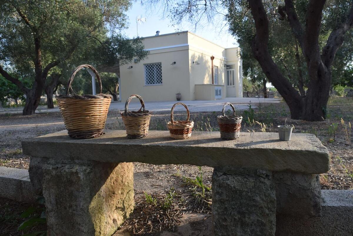 Maison 3 chambres avec terrasse jardin à Muro Leccese - Photo 26