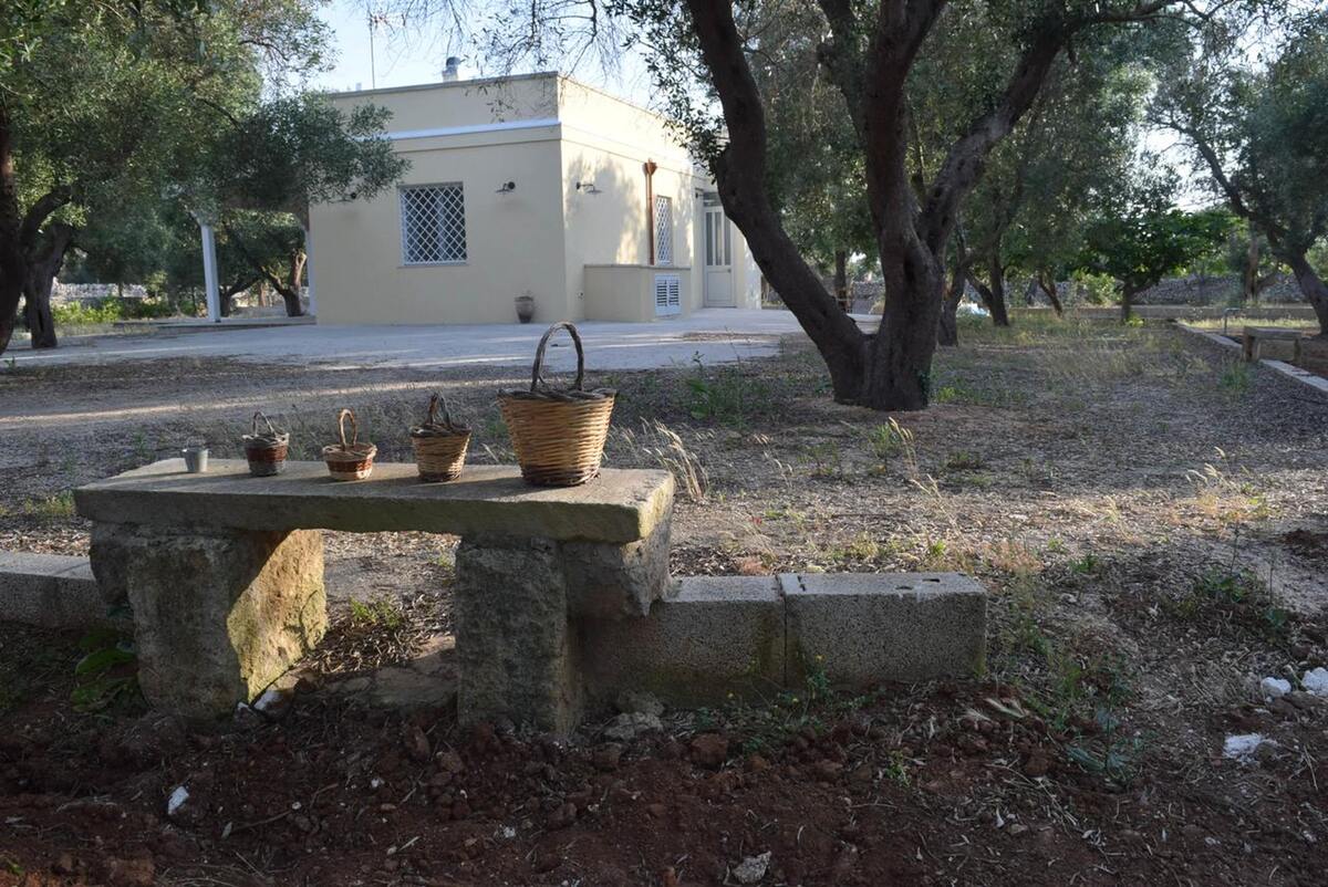 Maison 3 chambres avec terrasse jardin à Muro Leccese - Photo 27