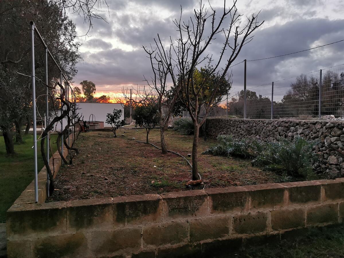 Maison 3 chambres avec terrasse jardin à Muro Leccese - Photo 62
