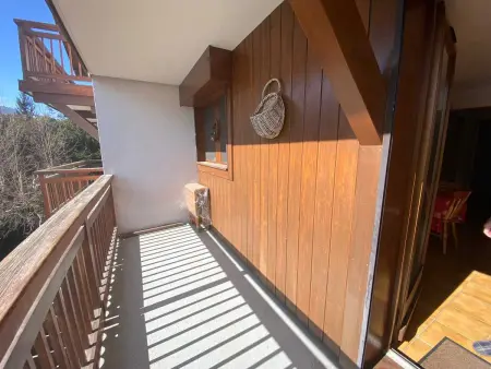 Appartement 40 m² avec balcon et vue montagne à Praz-sur-Arly : photo 2