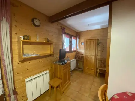 Appartement 40 m² avec balcon et vue montagne à Praz-sur-Arly : photo 5