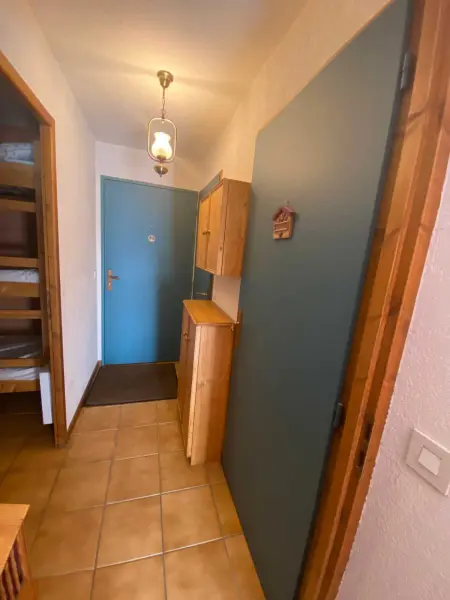 Appartement 40 m² avec balcon et vue montagne à Praz-sur-Arly : photo 7