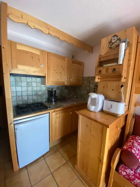 Appartement 40 m² avec balcon et vue montagne à Praz-sur-Arly : photo 11