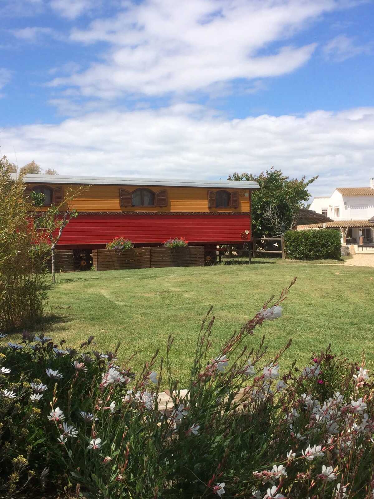 Bungalow avec piscine partagée à Saintes-Maries-de-la-Mer, à 3 km des plages - Photo 9