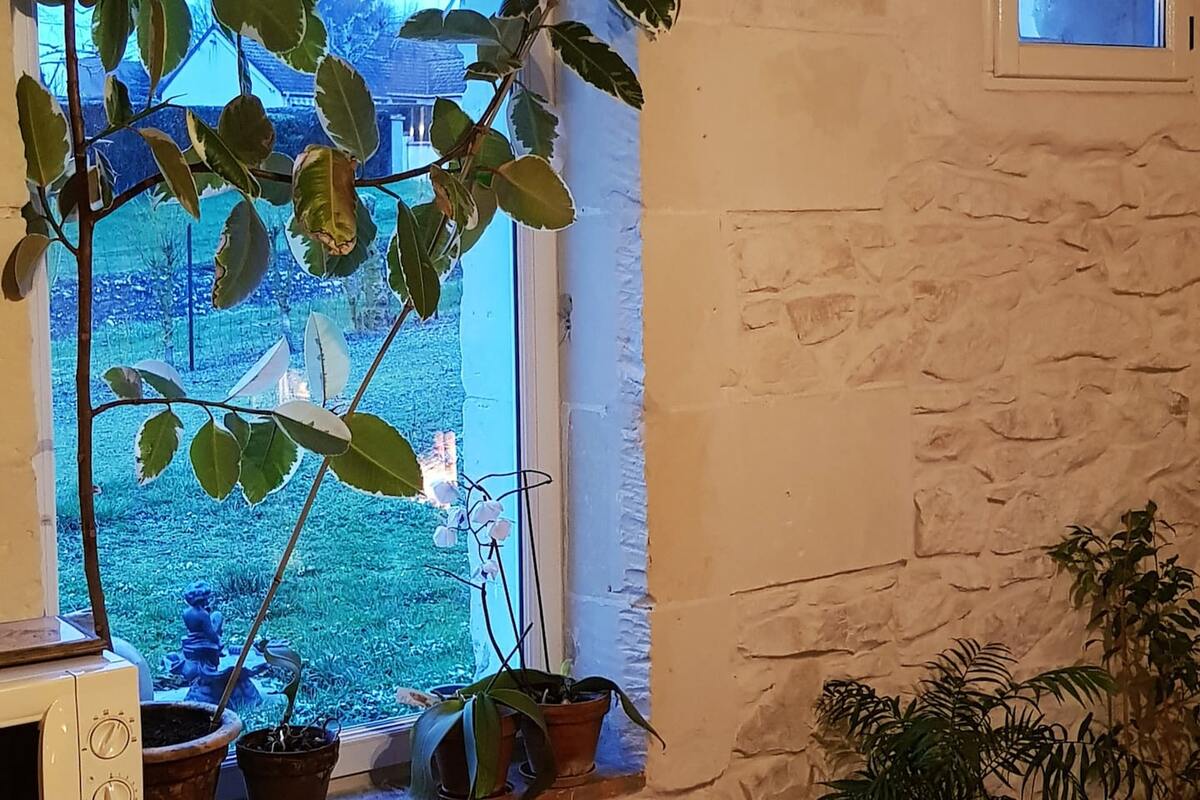 Maison PMR 50 m² avec jardin et terrasse à Noyers-sur-Cher - Photo 35