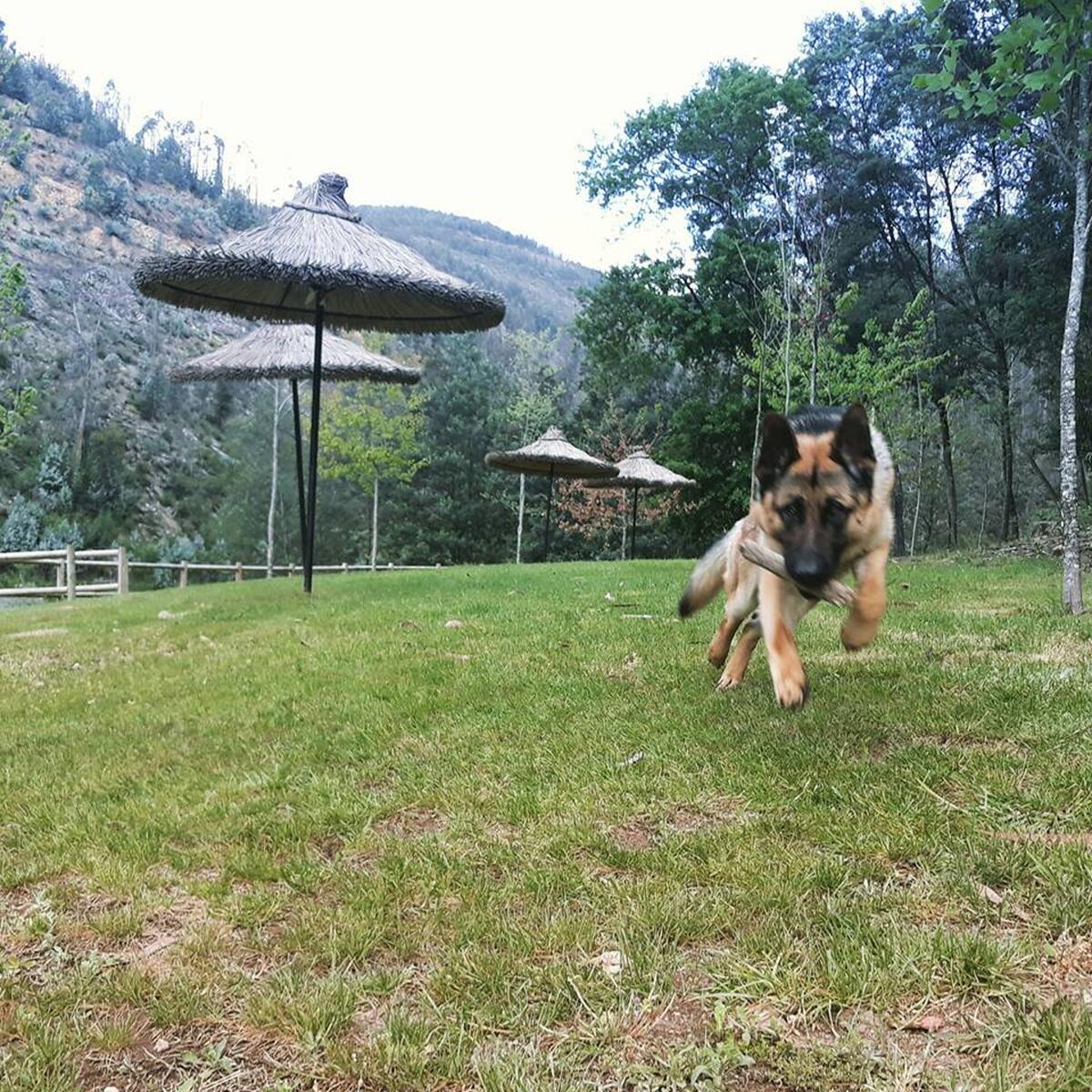 Maison 5 pers. à Águeda avec piscine et vue montagne - Photo 54