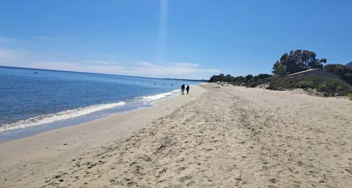 Studio 27 m² avec accès direct plage à San-Nicolao - Photo 9