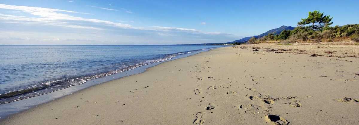 Studio 27 m² avec accès direct plage à San-Nicolao - Photo 10