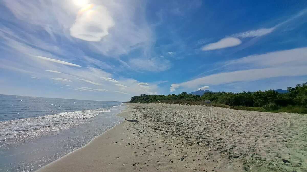 Studio 27 m² avec accès direct plage à San-Nicolao - Photo 14