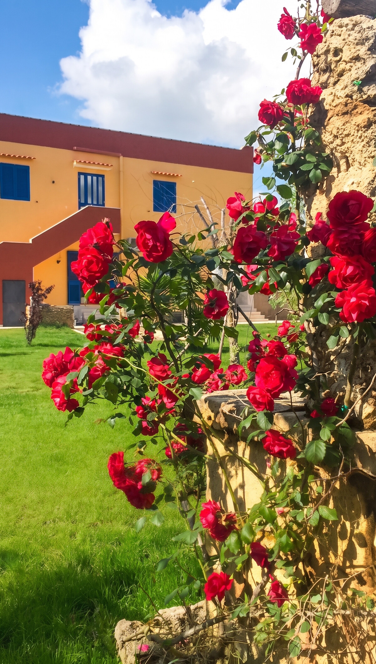Studio lumineux à Gallipoli avec jardin clos et climatisation - Photo 9