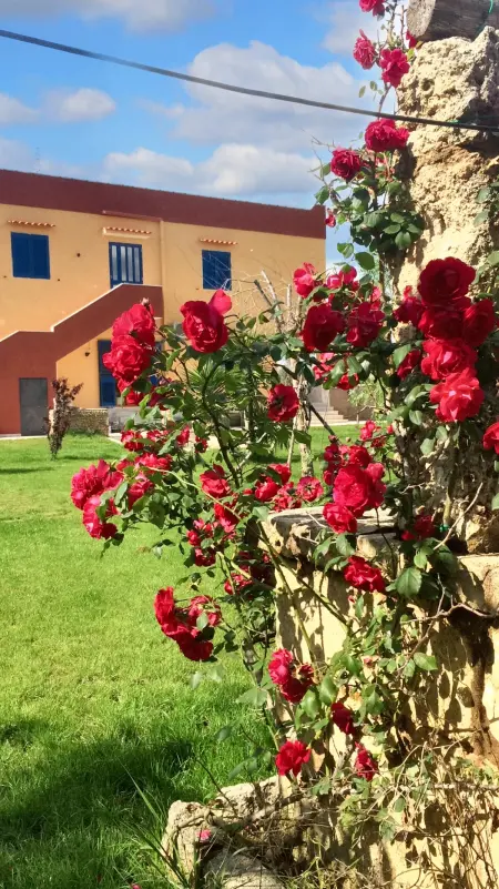 Location appartement à Gallipoli