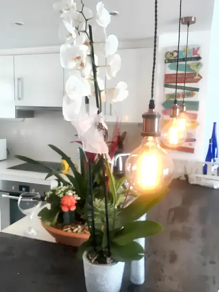 Maison confortable à Mojácar avec piscine partagée - Photo 8
