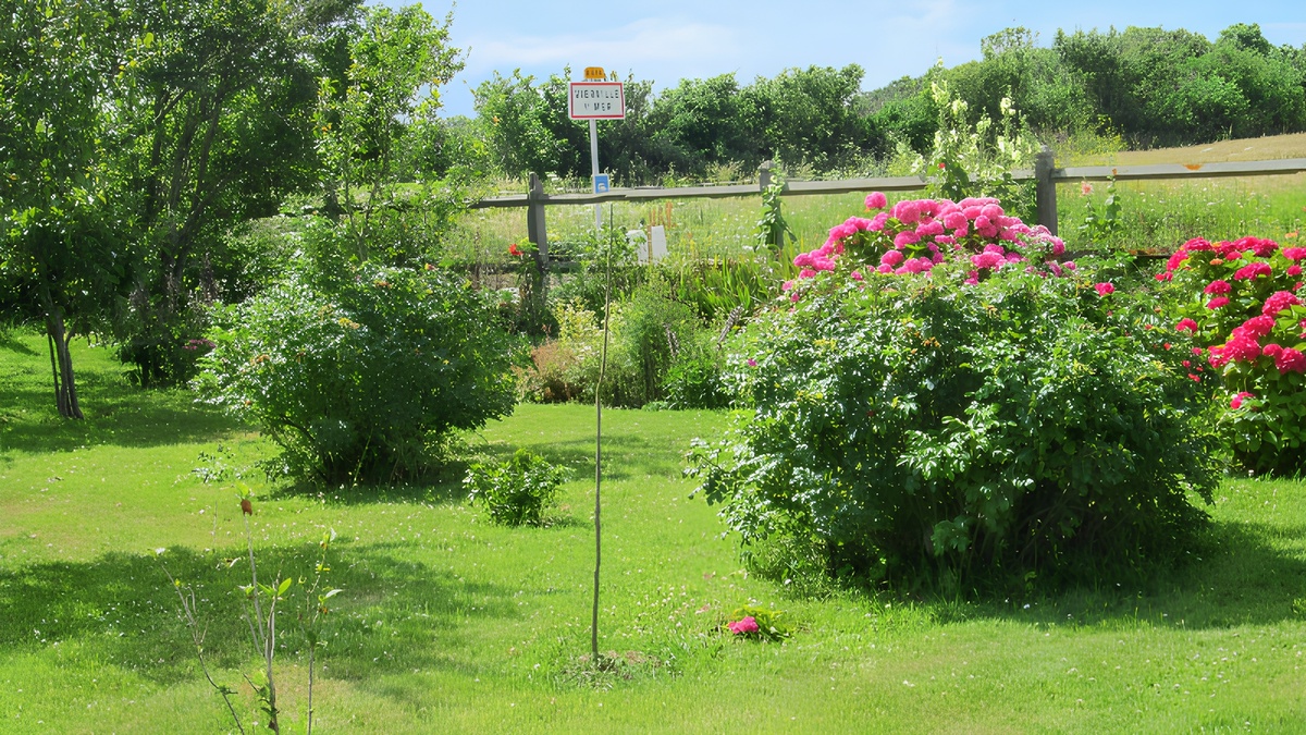 Studio 30m² avec terrasse et jardin à Vierville-sur-Mer - Photo 9