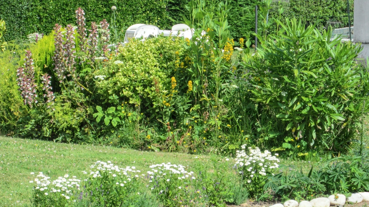 Studio 30m² avec terrasse et jardin à Vierville-sur-Mer - Photo 10