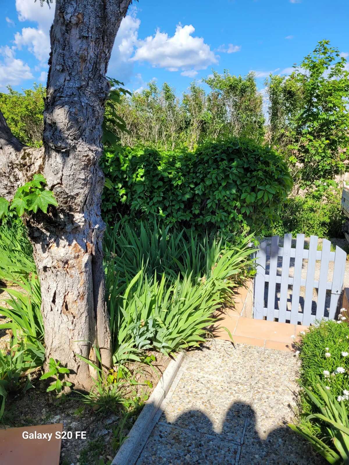 Maison 45 m² avec piste de pétanque à Saint-Michel-l'Observatoire - Photo 17