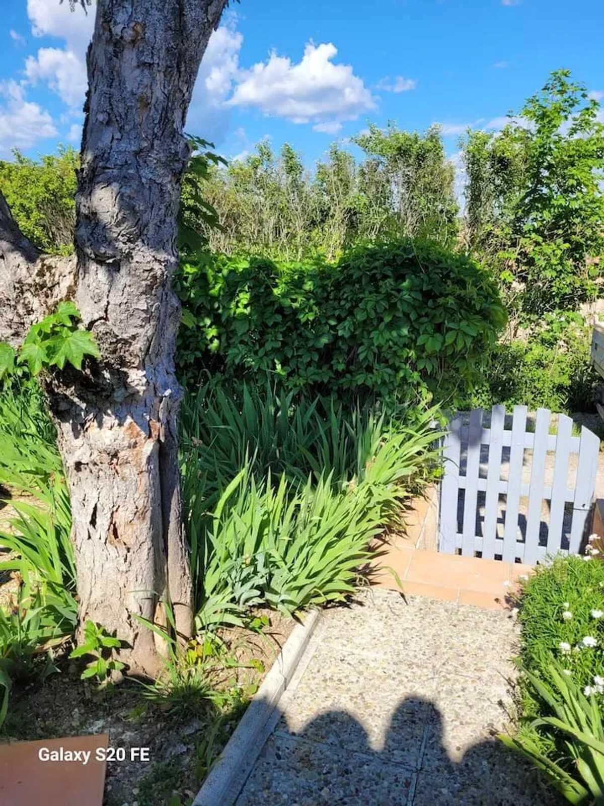 Maison 45 m² avec piste de pétanque à Saint-Michel-l'Observatoire - Photo 18