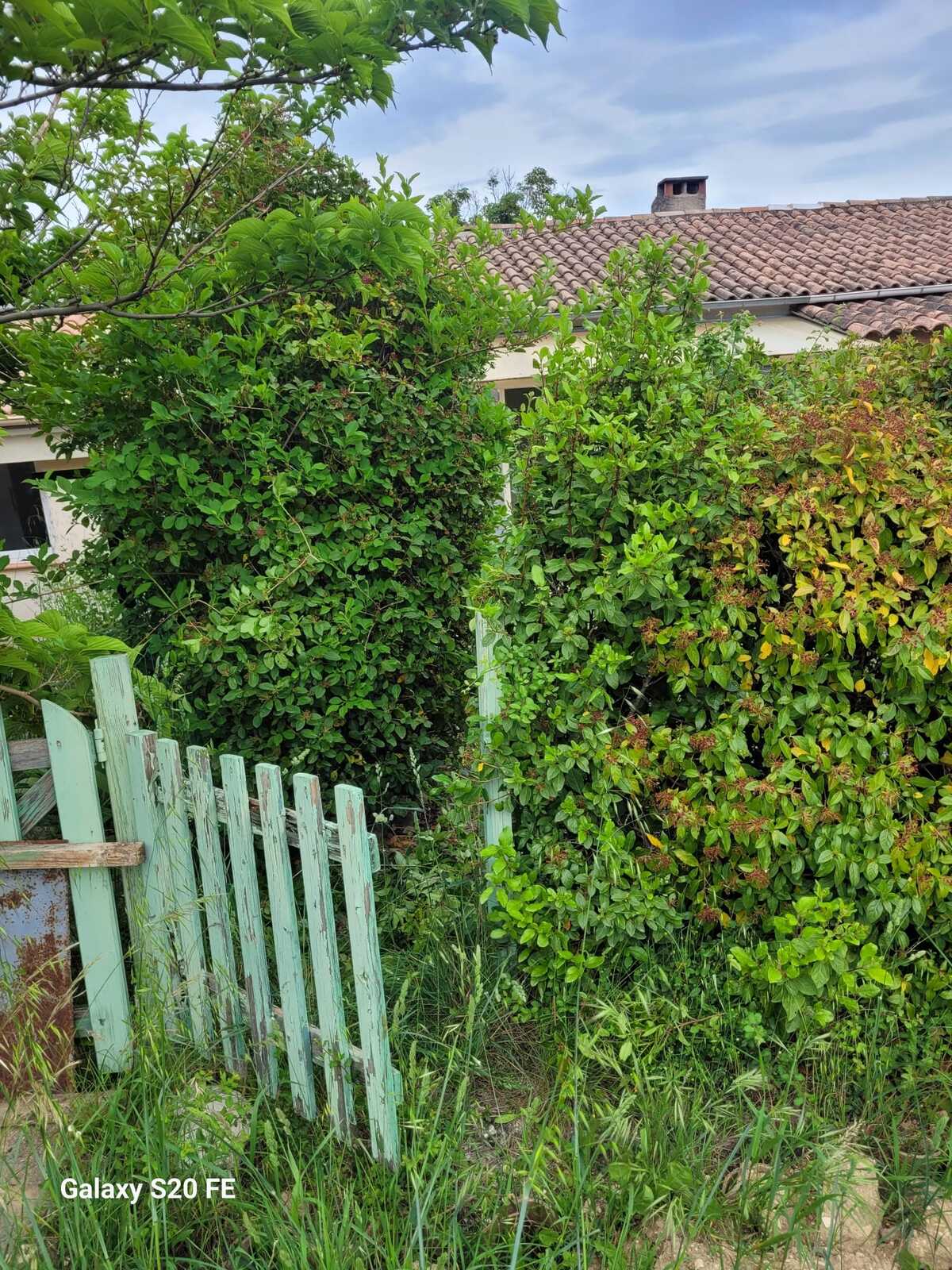 Maison 45 m² avec piste de pétanque à Saint-Michel-l'Observatoire - Photo 21