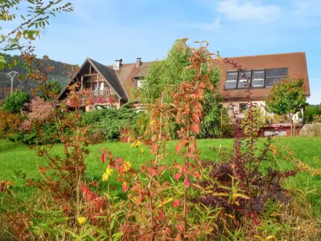 Location appartement de vacances à Thannenkirch