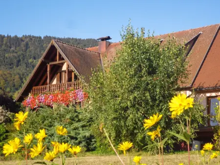 Appartement 100 m² avec vue montagne à Thannenkirch, 3 chambres : photo 2