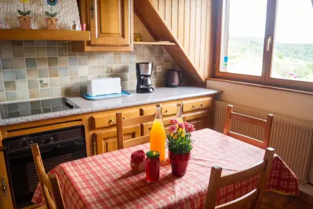 Appartement 100 m² avec vue montagne à Thannenkirch, 3 chambres : photo 4