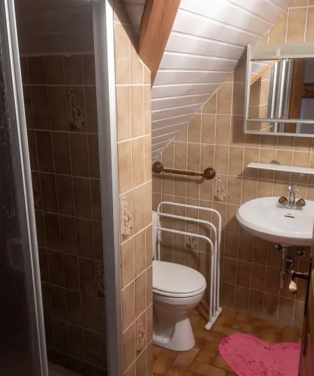 Appartement 100 m² avec vue montagne à Thannenkirch, 3 chambres : photo 8