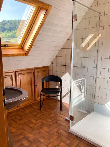 Appartement 100 m² avec vue montagne à Thannenkirch, 3 chambres : photo 11