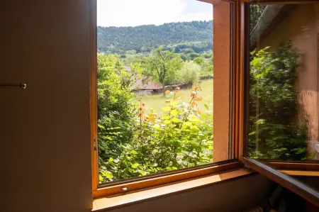 Appartement 100 m² avec vue montagne à Thannenkirch, 3 chambres : photo 16