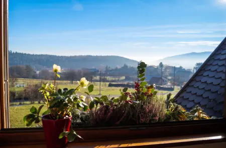 Appartement 100 m² avec vue montagne à Thannenkirch, 3 chambres : photo 18