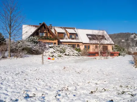 Appartement 100 m² avec vue montagne à Thannenkirch, 3 chambres : photo 19