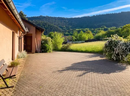 Appartement 100 m² avec vue montagne à Thannenkirch, 3 chambres : photo 25