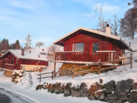 Location chalet de vacances à Le Tholy