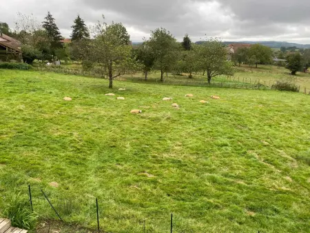Maison avec piscine partagée et jardin clôturé à Châteney : photo 12