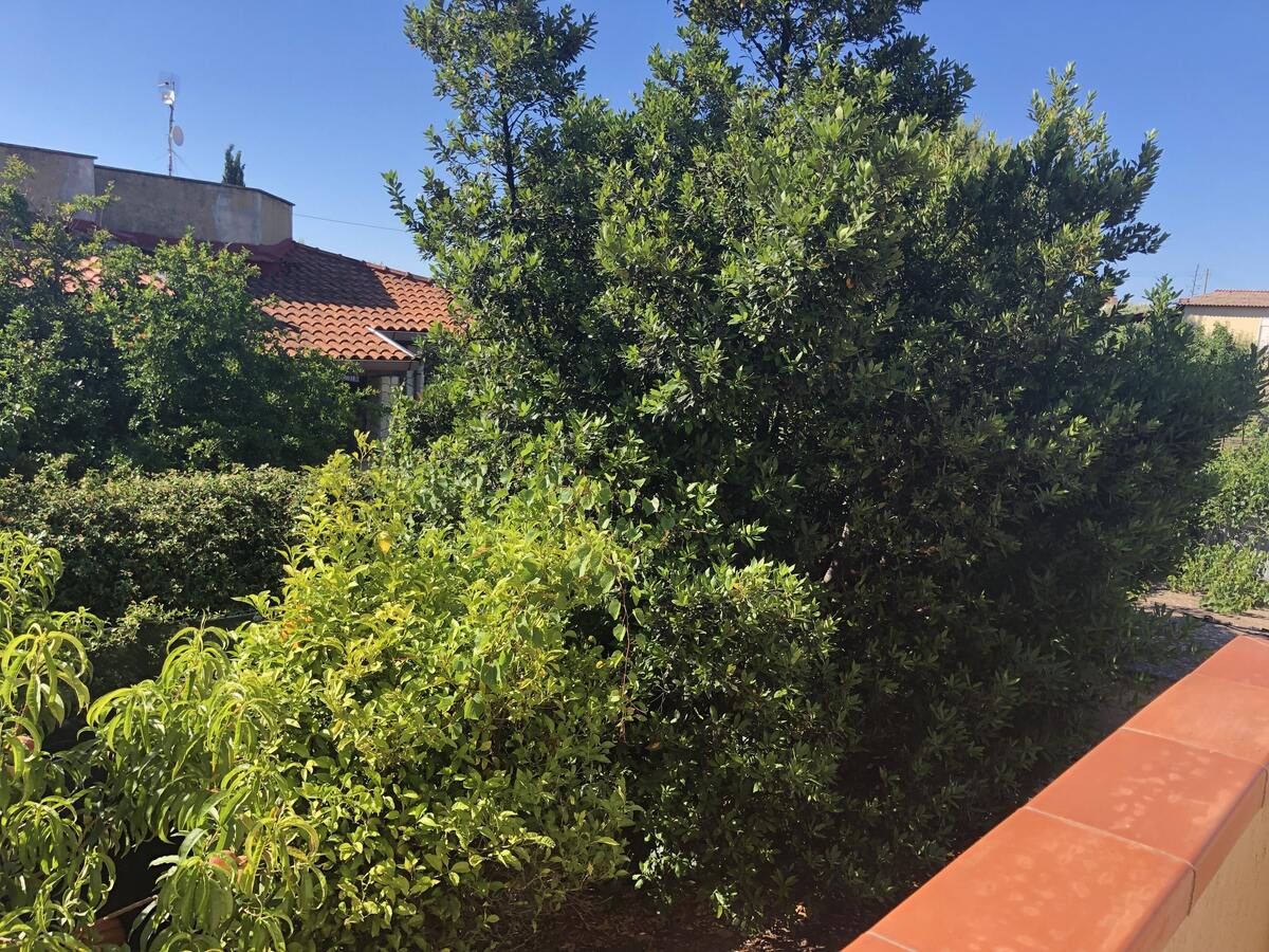 Appartement 3 chambres vue mer, terrasse Menfi - Photo 20