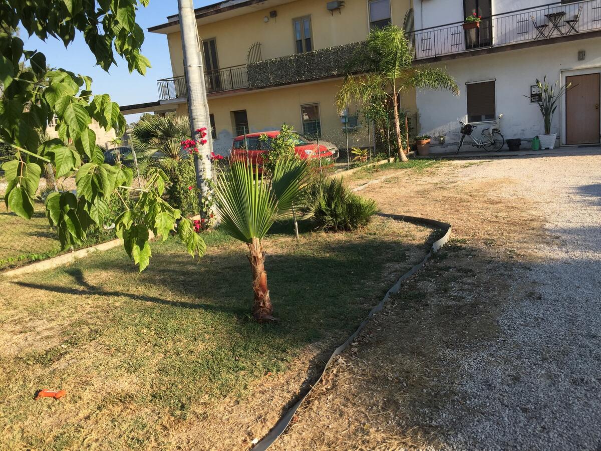 Appartement 55 m² avec jardin et barbecue à Cioccatelli - Photo 18
