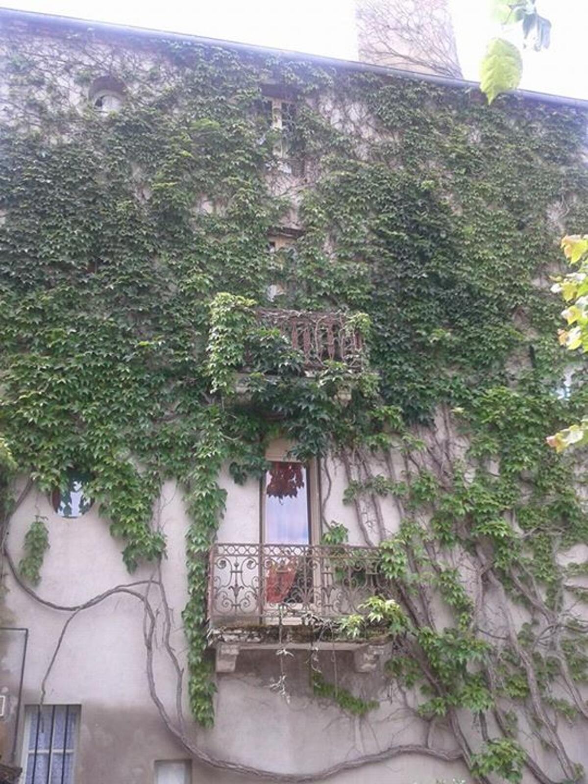 Studio 20 m² avec terrasse à Néris-les-Bains - Photo 18