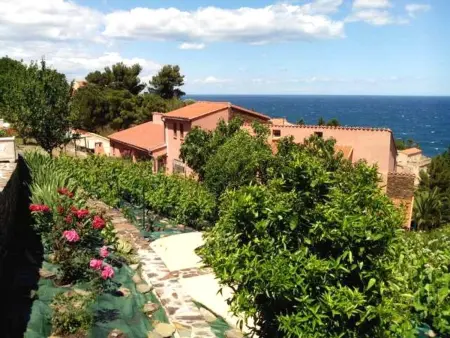 Appartement avec terrasse, jardin clos et vue mer à Collioure : photo 2